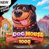 Аппарат The Dog House 1000 — Pragmatic Play